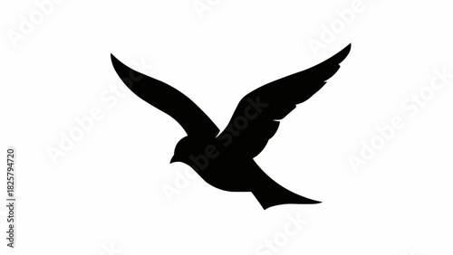black silhouette of a bird