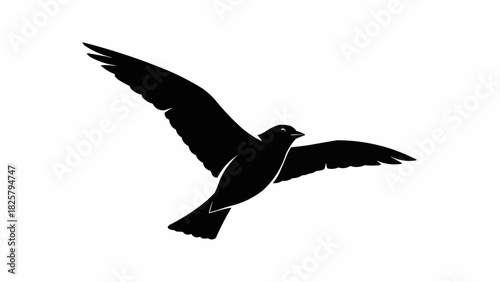 Silhouette of a bird