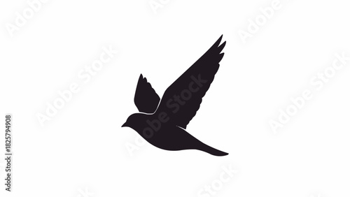 silhouette of a flying bird