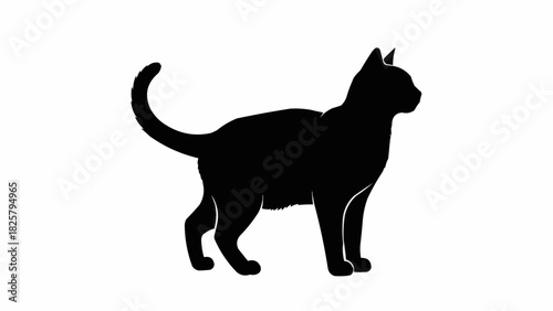 black cat silhouette