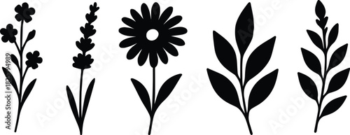 Set of decorative rose with leaves. Flower silhoutte. Vector illustration.Set of decorative rose with leaves. Flower silhoutte. Vector illustration.Set of decorative rose with leaves. Flower silhoutte