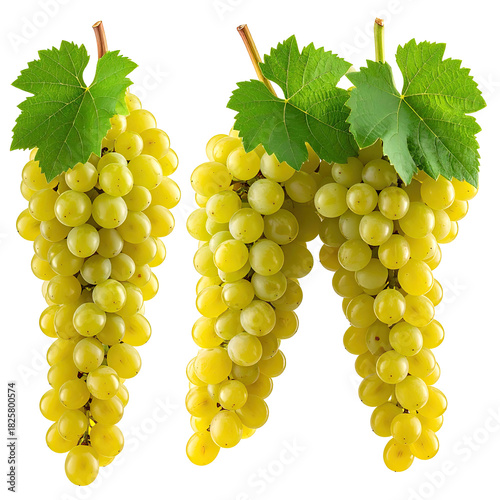 Three bunches of green grapes with leaves (1)