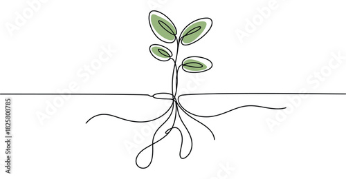  Minimalist plant with roots line drawing – elegant nature-themed continuous line art symbolizing growth, life, and sustainability
