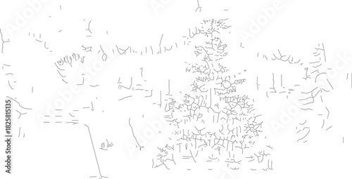 Christmas tree decorated with ornaments and lights, festive holiday season.