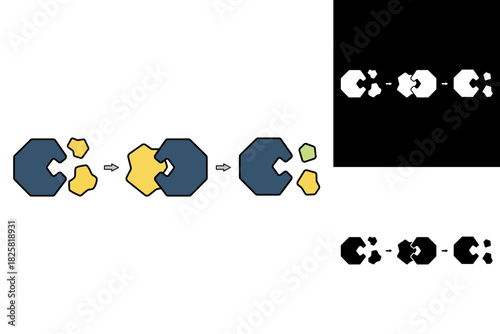 Scientific illustration detailing enzyme-substrate molecular interaction, highlighting the catalytic mechanism and the fundamental biological processes essential for cellular function and life