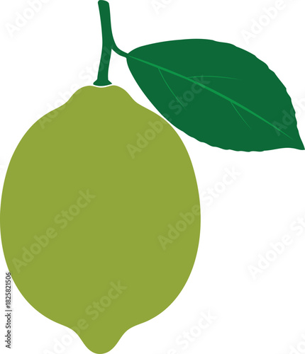 Whole lime fruit illustration with a green leaf