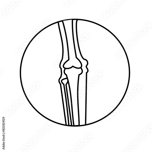knee bone xray radiology medical icon line icon black outline