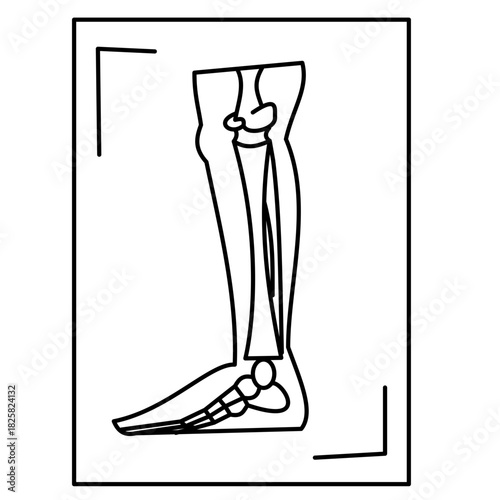 leg xray radiology leg bones medical icon line icon outline