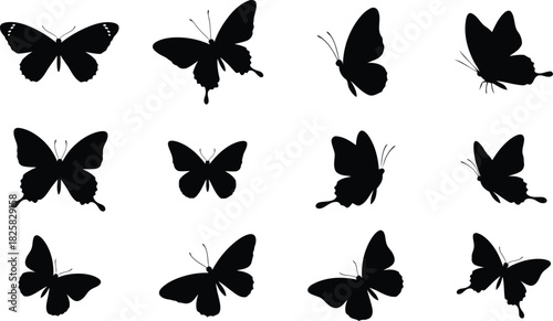 Black butterfly silhouettes set, twelve insects in various poses