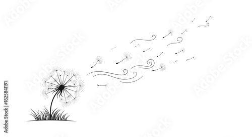 Minimalist black and white illustration of a dandelion with seeds blowing in the wind representing freedom and change.