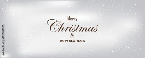 Merry Christmas text design. Vector logo, typography. Usable as banner, greeting card. EPS10, WEBSITE