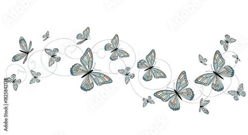 Elegant swarm of beautifully drawn butterflies with delicate swirling flight paths isolated on a simple white vector background.