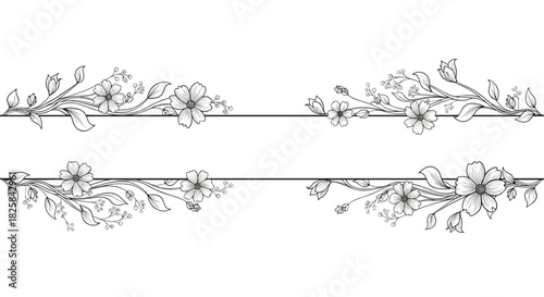 Elegant hand-drawn floral divider with delicate flowers and leaves creating a beautiful horizontal frame for text or titles.