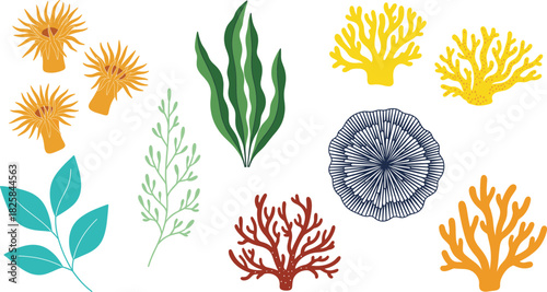 Colorful Flat Design Marine Flora Vector Illustration Set Featuring Sea Anemone, Coral, Seaweed, and Various Underwater Plants for Ocean and Nature Themes.