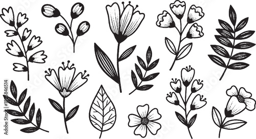 Collection of hand-drawn floral elements botanical vector illustration for wedding invitations greeting cards and decorative design