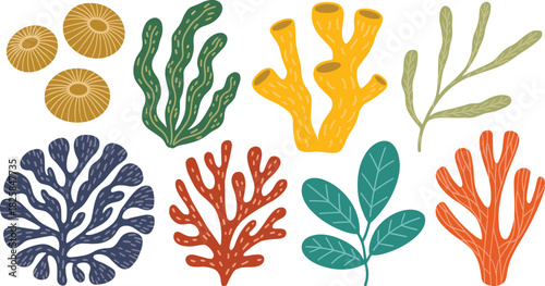 Abstract Marine Flora Vector Illustration Set Featuring Stylized Coral, Seaweed, and Underwater Plants in a Modern, Flat, and Colorful Design.
