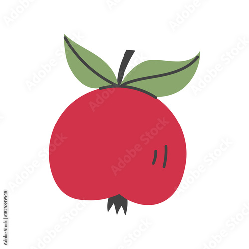Red Apple with Leaves Hand Drawn Icon. Minimal Playful Ripe Fruit flat vector illustration. Childish Card. Summer Harvest Symbol