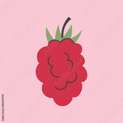 Hand Drawn Raspberry Card. Cute Red Berry Colorful Icon with leaf. Fresh Fruit Playful Flat vector illustration.