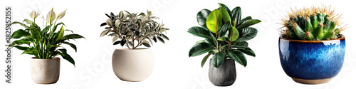 Lush green plants in modern pots create vibrant and refreshing atmosphere, perfect for enhancing any indoor space