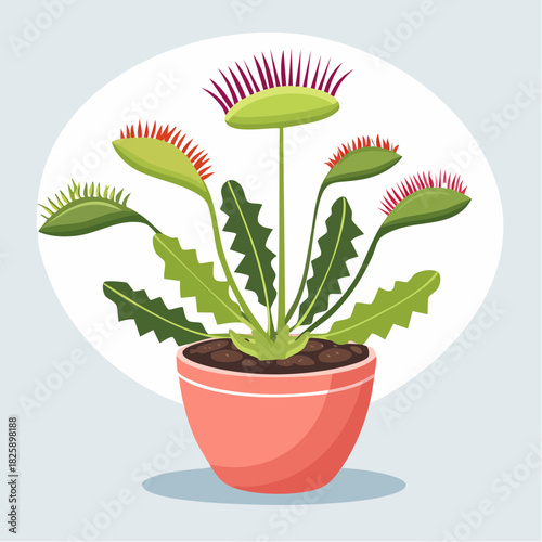 Green Venus Flytrap Plant With Red Bristles In A Coral Pot With A White Circle Background