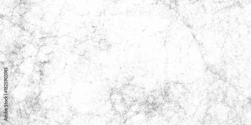 Abstract texture of grunge white and black scratches and cracks distressed grainy dust wall background. vintage of old surface background. pattern and texture of cracks, scratches rusty wall and chip.