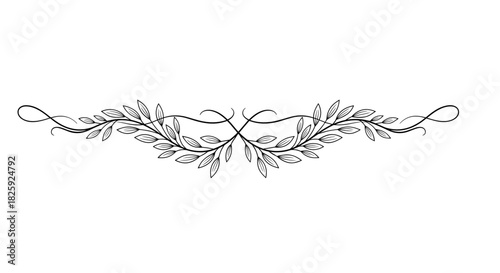 Elegant decorative dividers featuring intertwined laurel leaves