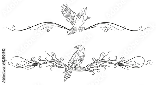 Elegant decorative dividers featuring birds and swirling branch designs