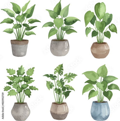 Watercolor potted houseplants set for indoor home garden decor