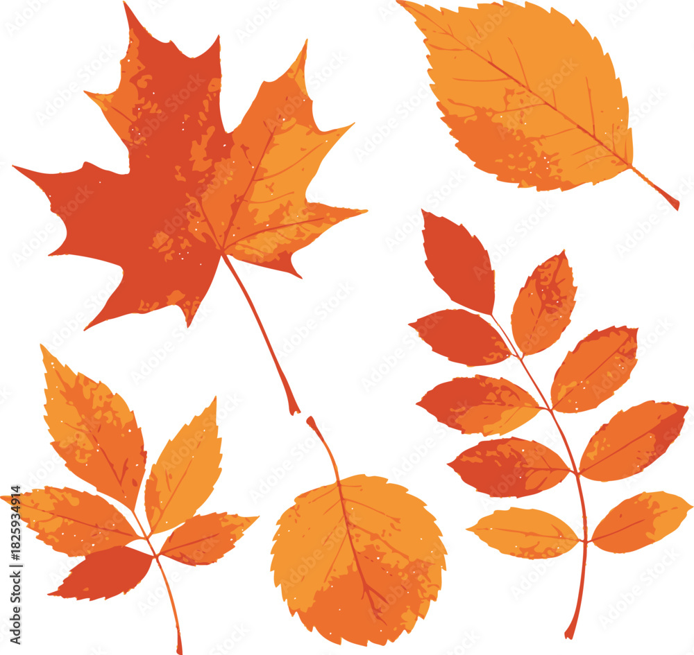 Naklejka premium Autumn foliage collection with vibrant fall maple and oak leaves