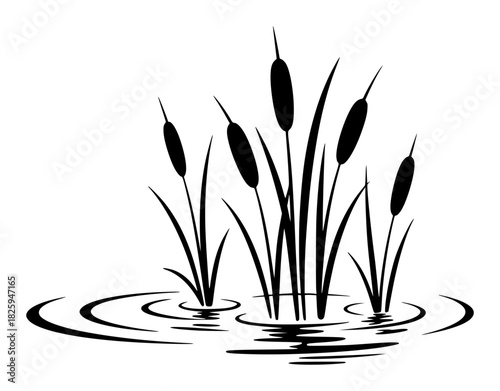 Black Silhouette of Cattails Growing in Rippling Water