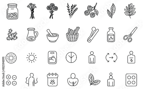 Set of medical herbs and plants icons containing natural remedies and botanical elements for alternative medicine or organic cosmetics designs