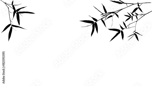 Bamboo branches with leaves on isolated background, featuring a black shadow leaf design with an Asian aesthetic.