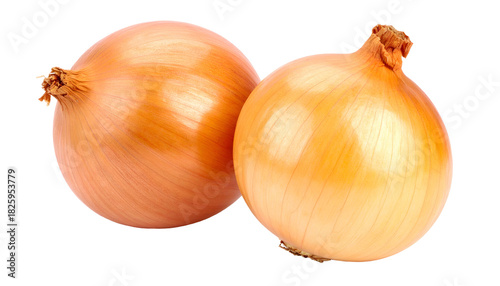 Wallpaper Mural Two mature, spherical onions with textured, light brown skin, against a black background Torontodigital.ca