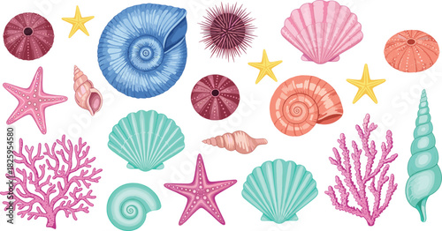 Colorful Tropical Seashells and Marine Life Vector Illustration Set Featuring Starfish, Scallop Shells, Sea Urchin, and Coral for Beach and Summer Decoration.