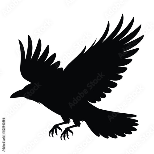 Crow in mid-flight with wings spread Vector, Silhouette, Illustration