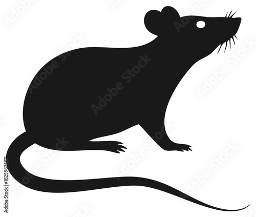 Silhouette of a rodent, featuring its distinctive whiskers and long tail, standing sideways