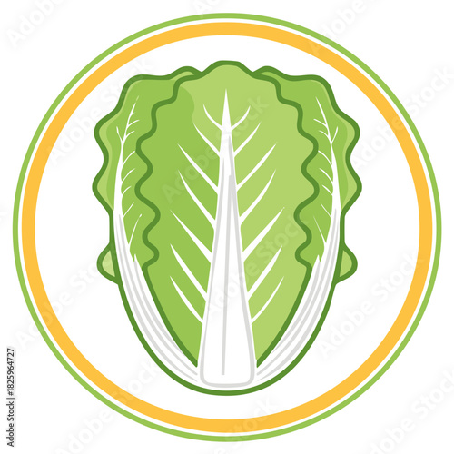 Fresh Chinese Cabbage Illustration in a Circular Green and Yellow Frame