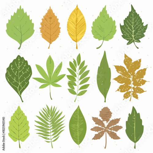 all kinds of leaves from all seasons