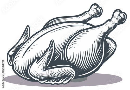 Roasted Chicken Illustration. Vintage, Engraved Style, Isolated on White