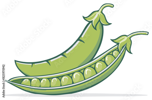 Fresh Green Peas in Pods Simple Vector Illustration