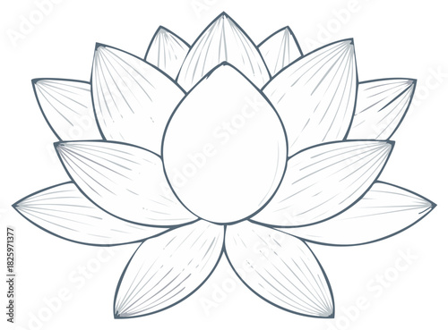 Lotus flower drawing with detailed petals, outline illustration in black and white, floral artwork.