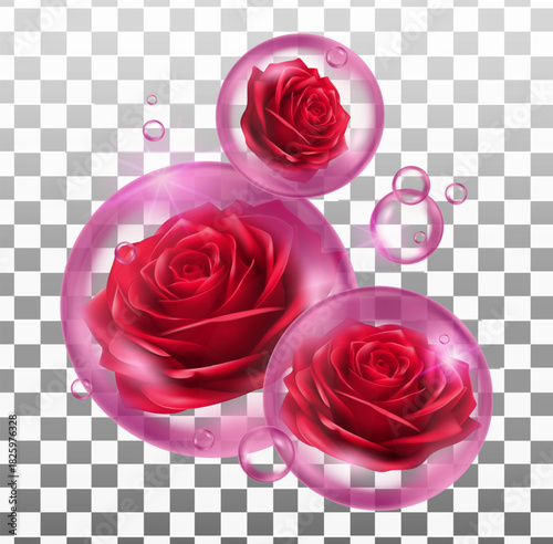 Red roses in Red bubbles Transparent background Perfect for detergent perfume or cosmetic product ads.