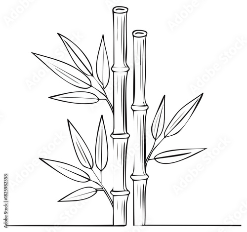 Stylized black and white drawing of two bamboo stalks with leaves against a white background