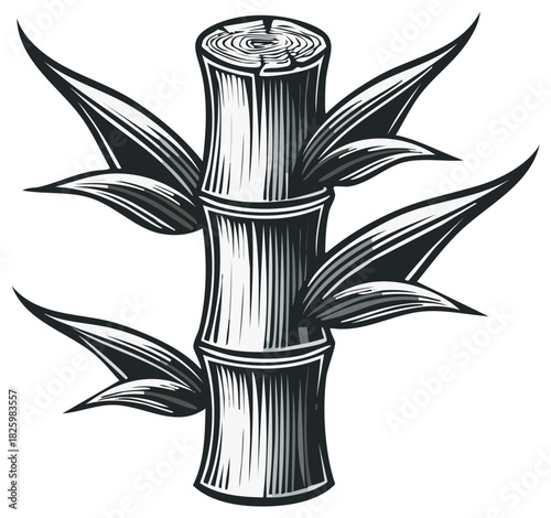 Bamboo stalk and leaves illustration black and white