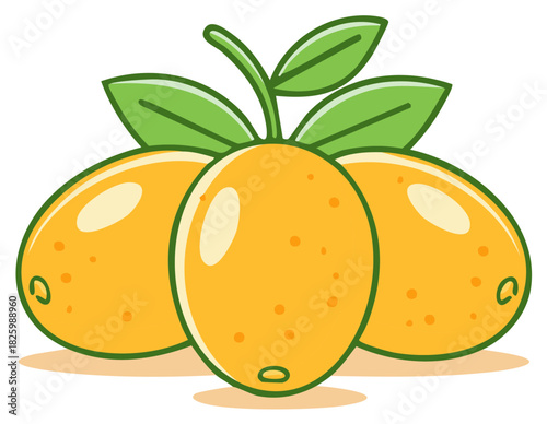 Cartoon kumquats with leaves. Fresh, ripe fruit vector illustration.