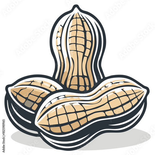 Illustration of three shelled peanuts nut food snack ingredient