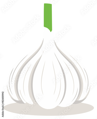 Fresh whole garlic bulb illustration with vibrant green stem a healthy food ingredient graphic