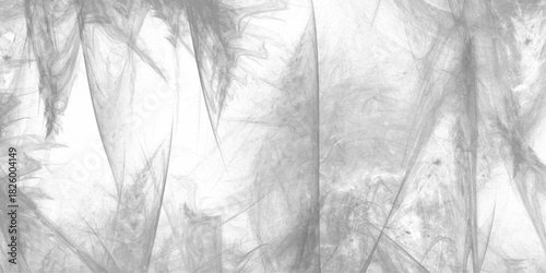 Abstract Chalkboard texture white background. gray smoke or fog isolated on white background. marble texture with natural pattern high resolution for wallpaper background or realistic, vector.