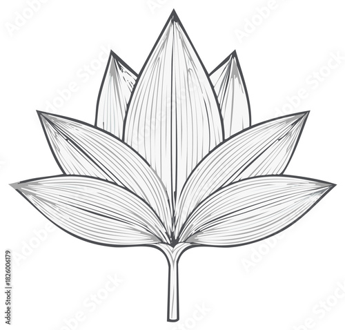 Elegant line art drawing of a symmetrical lotus flower. A monochrome zen symbol for spirituality and wellness.