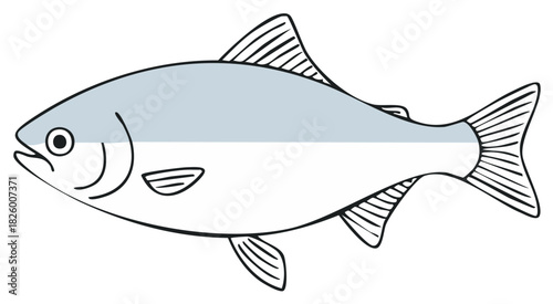 Salmon Fish Outline Illustration with Shaded Section Minimalist Style